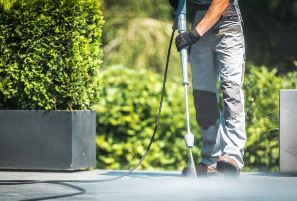 Best Dumpster Area Cleaning  in Northwest Ithaca, NY