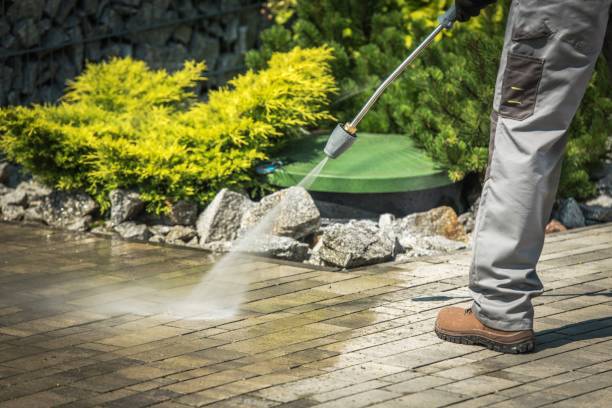 Animal Enclosure Cleaning in Northwest Ithaca, NY